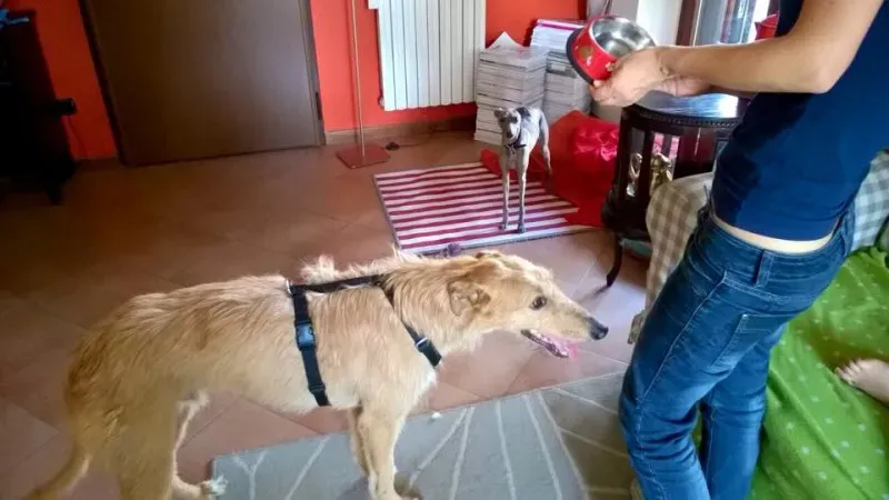 10156173 850861445005460 8713898062393138769 n