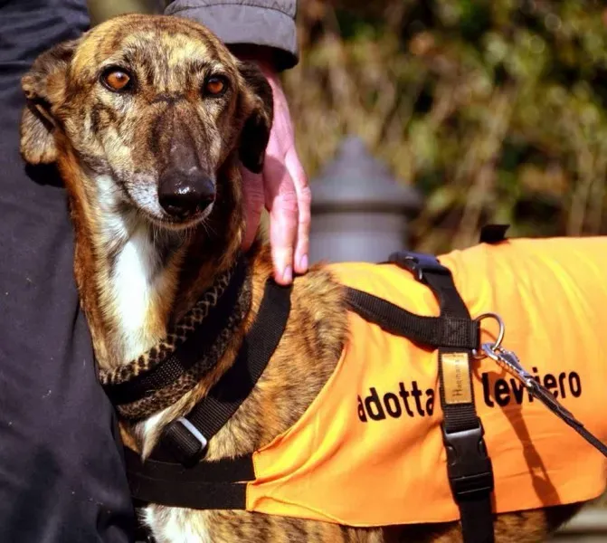 10157174 10204477525272012 8830875677120031135 n