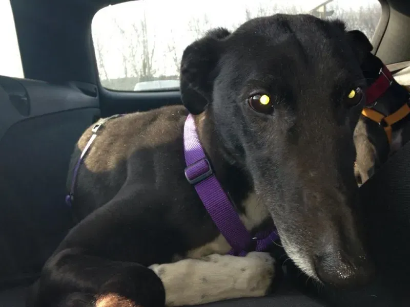 10157265 759014387449951 208370972 n