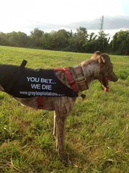 1016140 473836272707981 1981191311 n