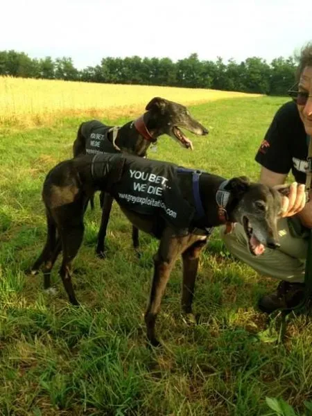 1016360 473836412707967 273782272 n