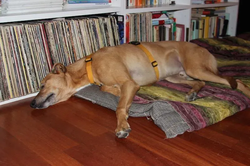 1016471 708082565942268 5396263557625106794 n