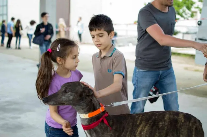 10167947 835742679842922 8410714052383114601 n