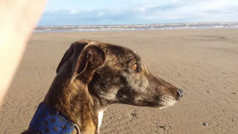 1016937 570625813035216 8512774023670930263 n