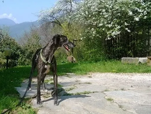 10170712 657838620943980 3994155852580821139 n