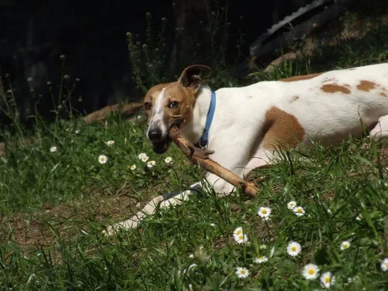 10170725 10202871305735022 140742113 n