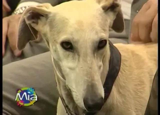 10171000 10202437666595376 5079370805052522001 n