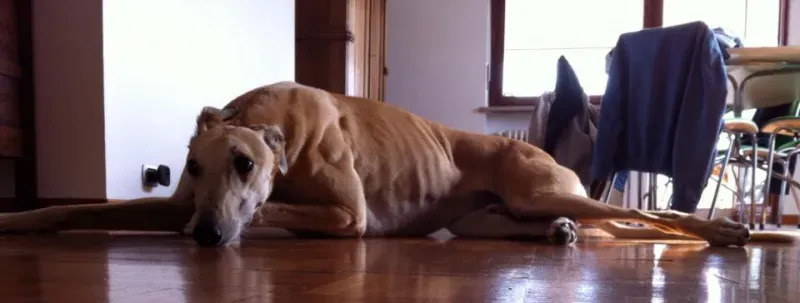 10171002 361912230632163 1742980794083342848 n