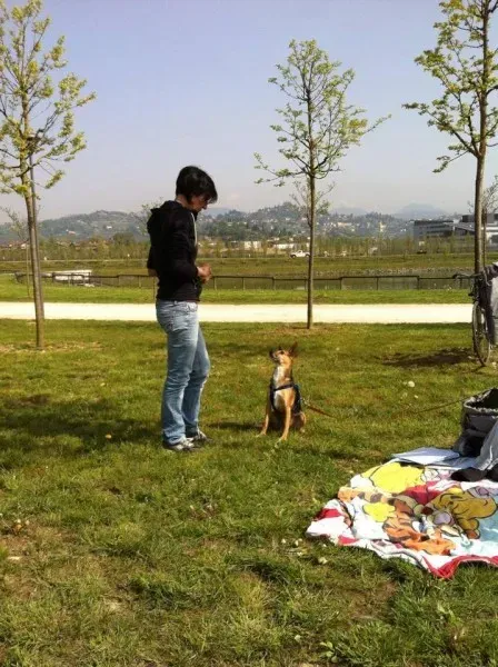 10172672 729196483799744 3782927927118789137 n