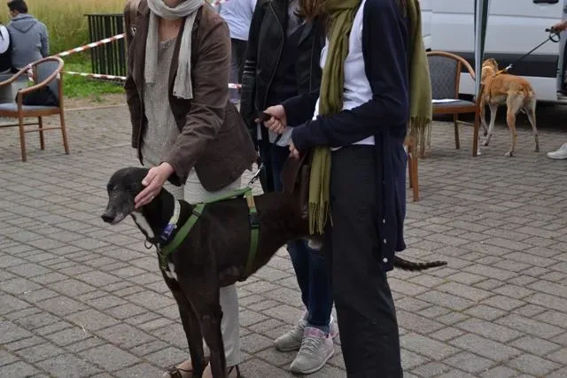 10172727 643648722385653 4710137200843142731 n 1