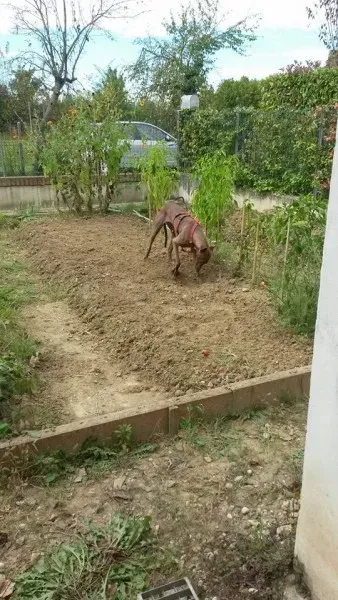 1017383 10207387700628553 3939115056402607624 n