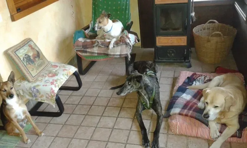 10174801 10202910409912602 3476197843745904491 n1