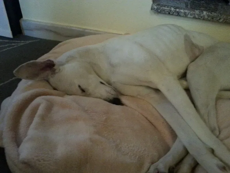 10174822 10203849388663985 1556858776588845269 n