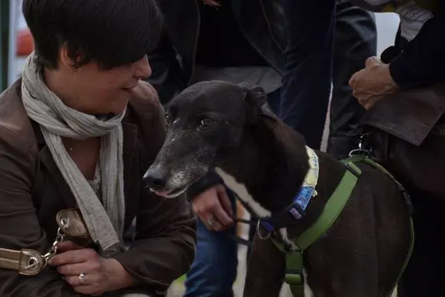 10174994 643648932385632 6157598373786296970 n