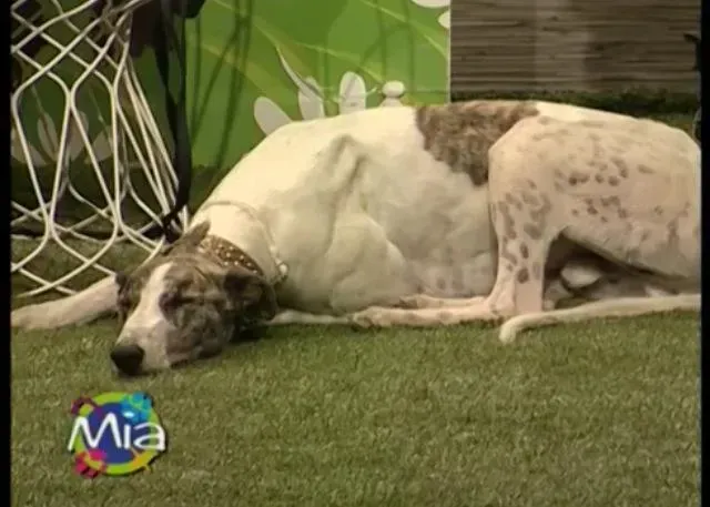 10175040 10202437668475423 792455448450865079 n