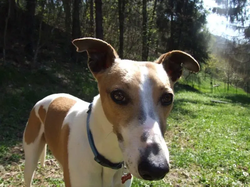 10176232 10202871305615019 1992694297 n