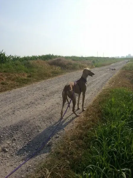 10177217 10204108496140971 6529624380870943662 n