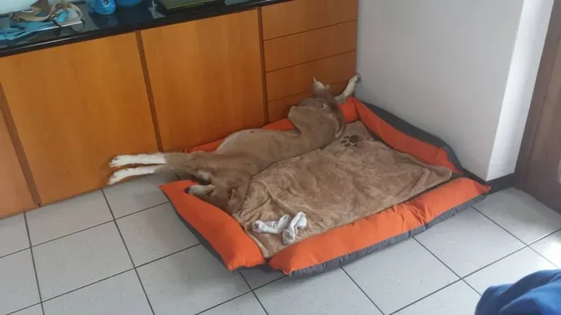 10177305 10208781031993477 2764708512500043471 n