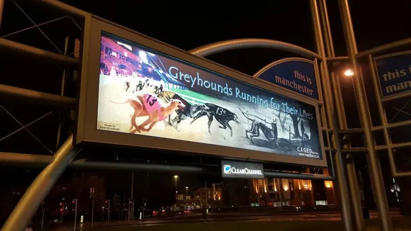 10178014 426595547535671 538514929956464890 n