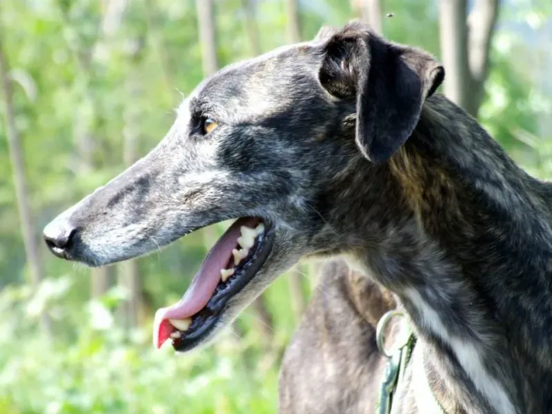 10178091 661394617255047 1584562980807085406 n