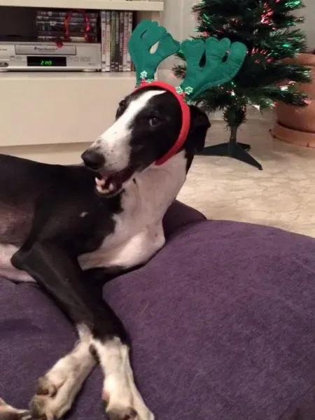 10178117 791779177615160 5416368881861529589 n