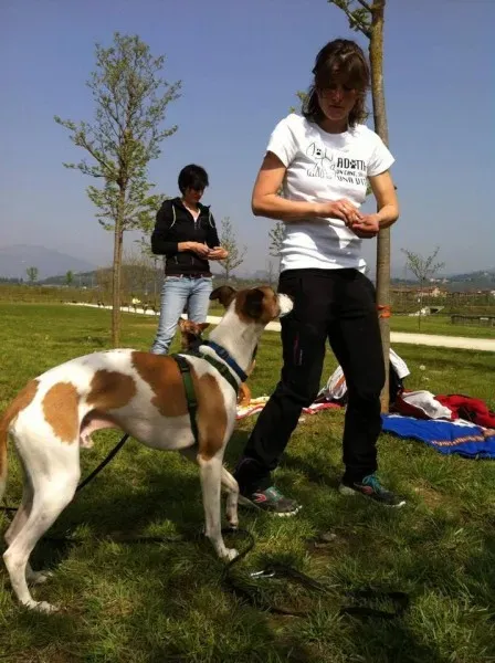 10245534 729196667133059 4869034502713416757 n