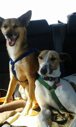 10245564 10202891316275273 3754995278542295658 n