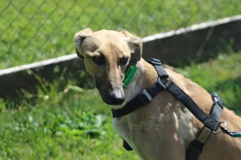 10245570 640700756013783 1765584678704968789 n