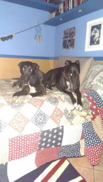 10246564 765212190163504 5416704966855144768 n