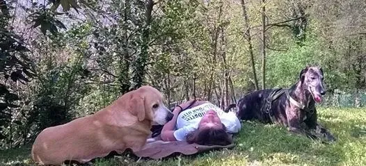 10246696 657854614275714 5523176552217476706 n