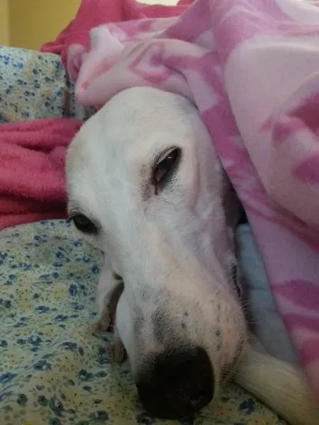 10246768 10203972533102519 2147758734124334613 n