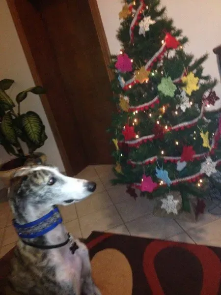 10250155 10208233806192732 6579927022828310626 n