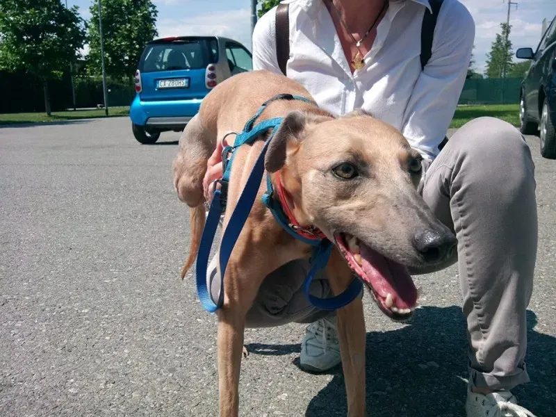 10250303 640722029344989 8729633454697894908 n