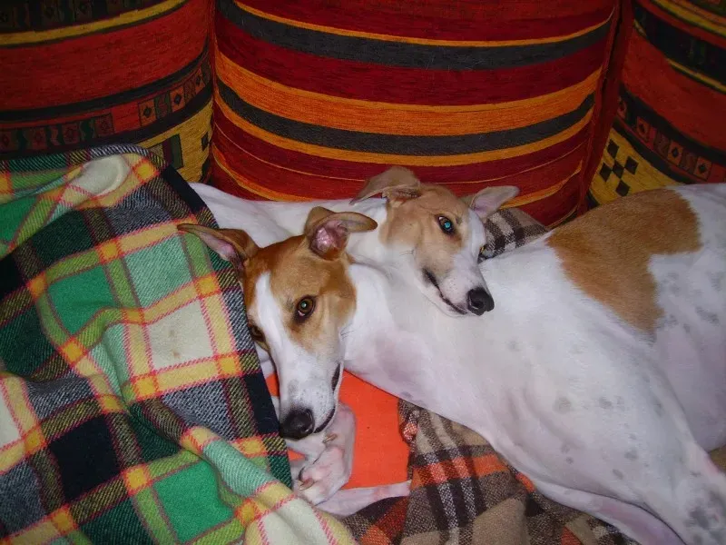 1025467 10200606214238044 77736008 o