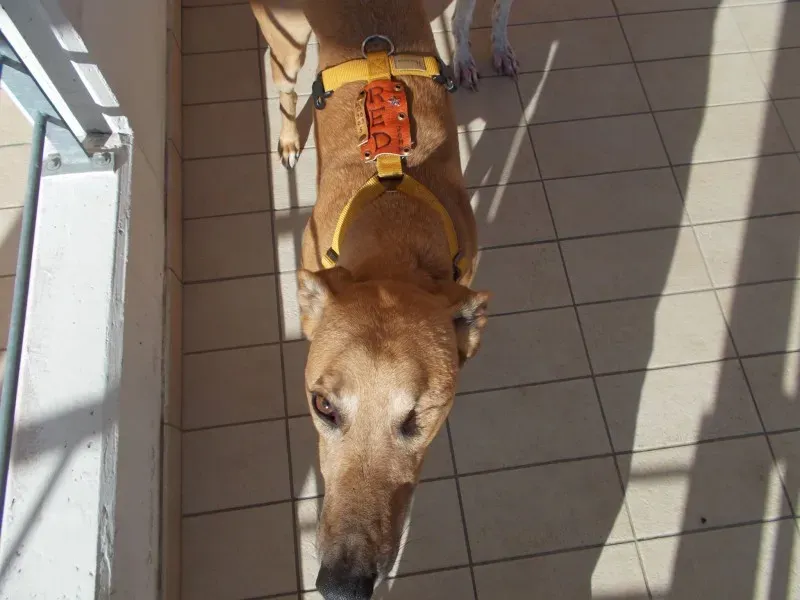 10255621 10204385545671500 3785852895694659598 o