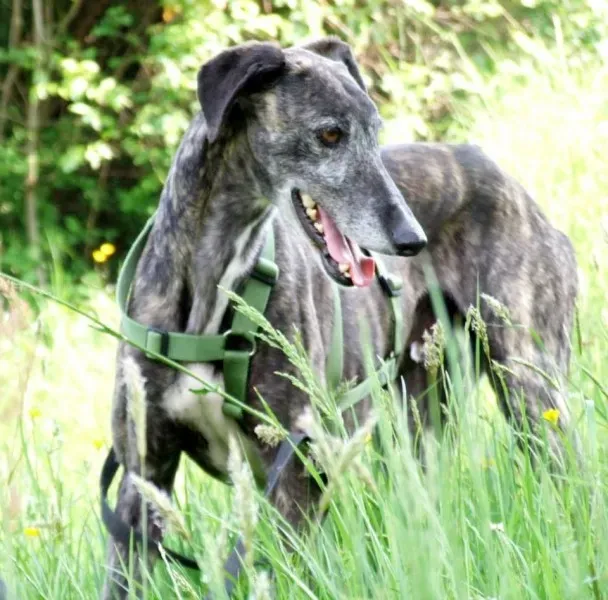 10255625 661394133921762 3127470869856871324 n