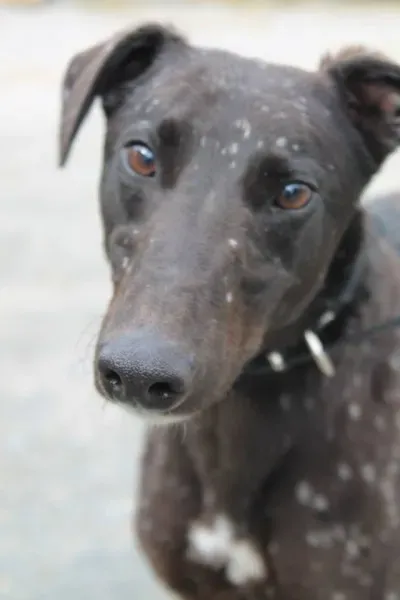 10255823 1014948801856152 1712312292839592210 n