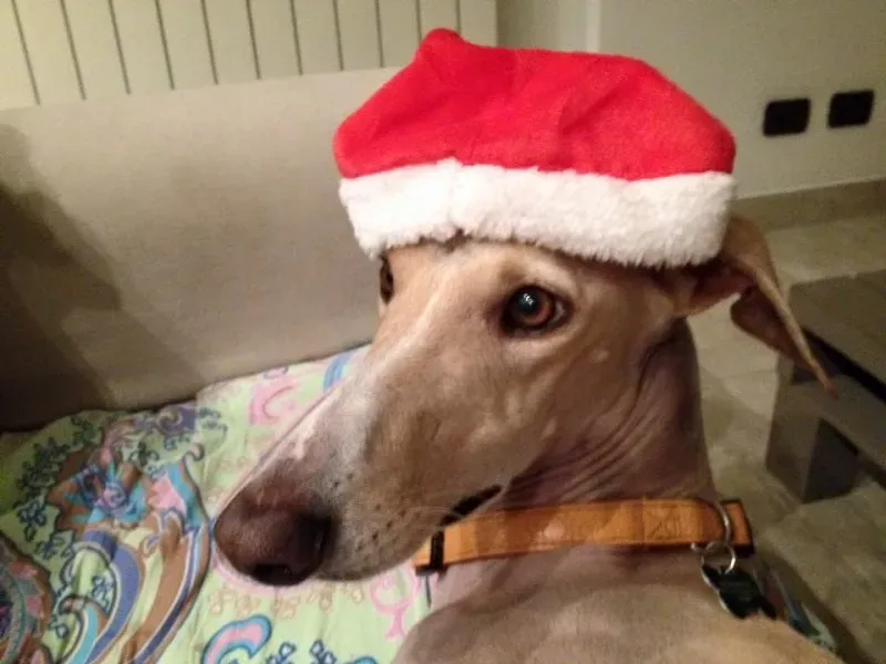 10256825 10206398015201885 8472486798050587687 n