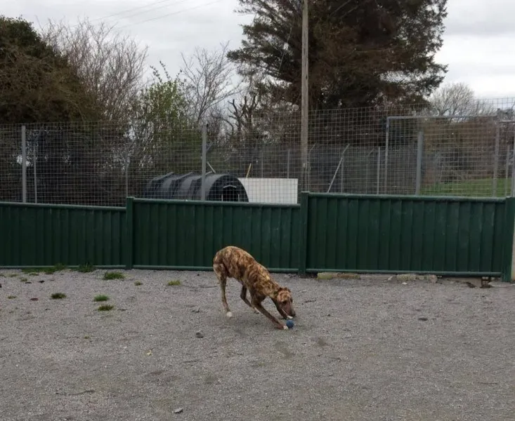 10256825 770572686293766 1258008712143486355 n