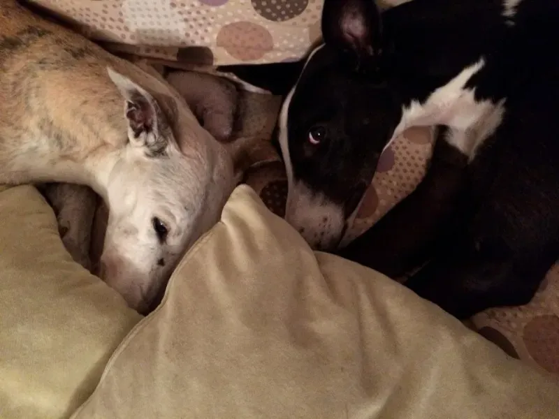 10257026 643569502436129 2784508899296982445 o