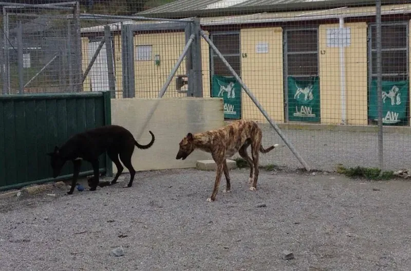 10257077 770573209627047 1909866505245932617 n