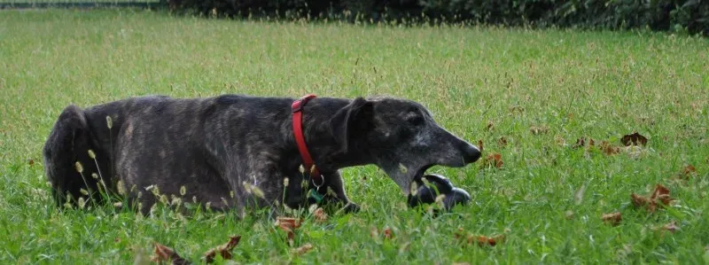 10257146 754337097965860 7040986458884405870 o