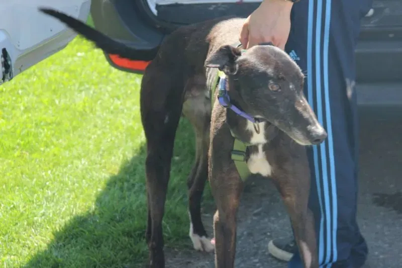 10257233 640699856013873 1628915571145478357 n