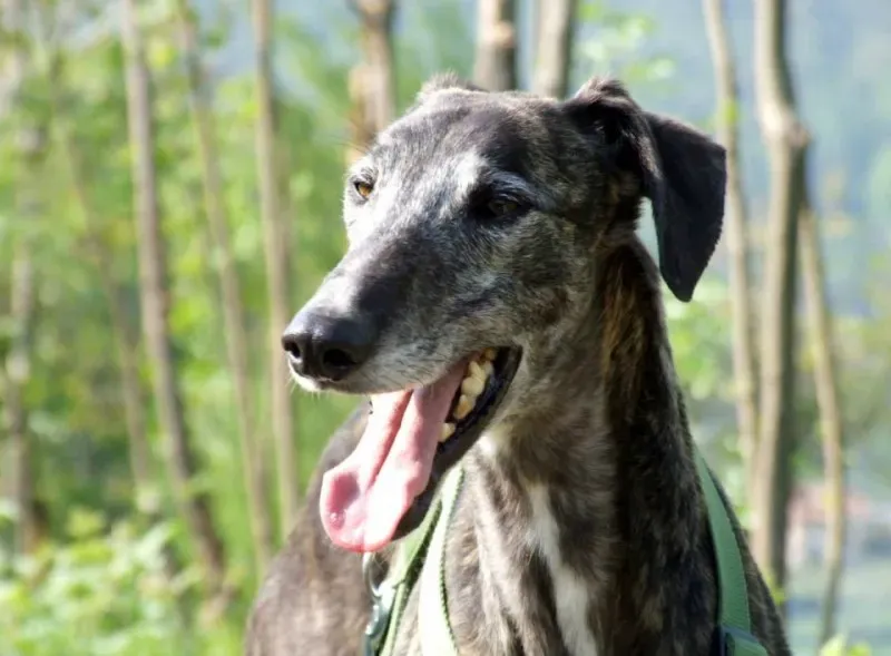 10257259 661394880588354 3395491600100781797 n