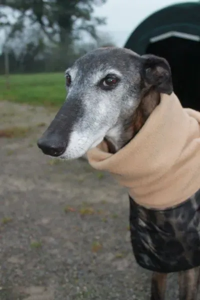 10257360 10152314458400194 5428190212773909506 o1