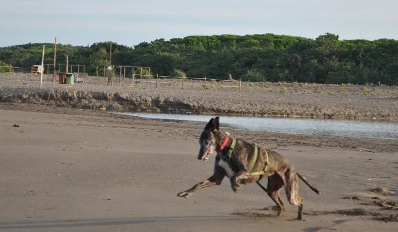 10257627 10204136575845984 1874613754858406323 o