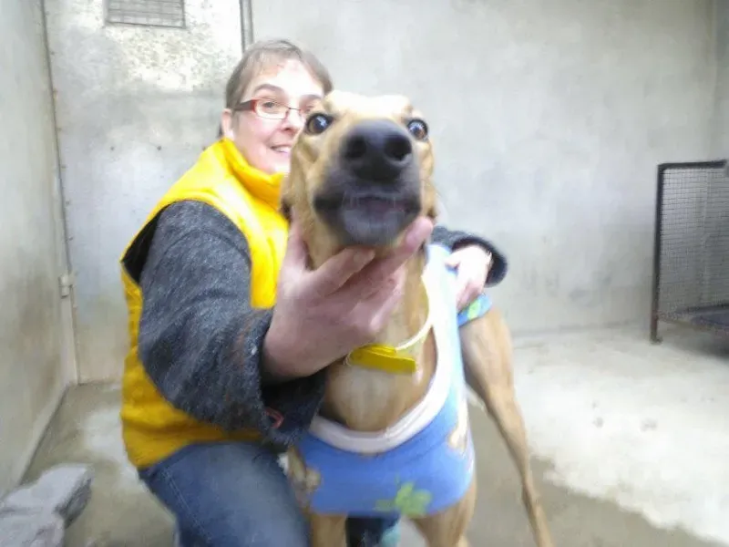 10257987 735161463234378 5309584652720792169 n