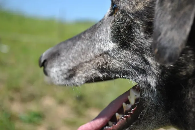 10259237 677046215689887 3686330342420098816 o