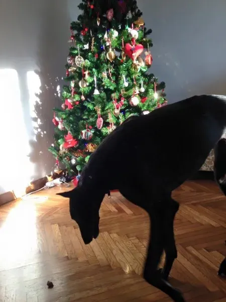 10259321 952079698199534 1424900343431723065 n