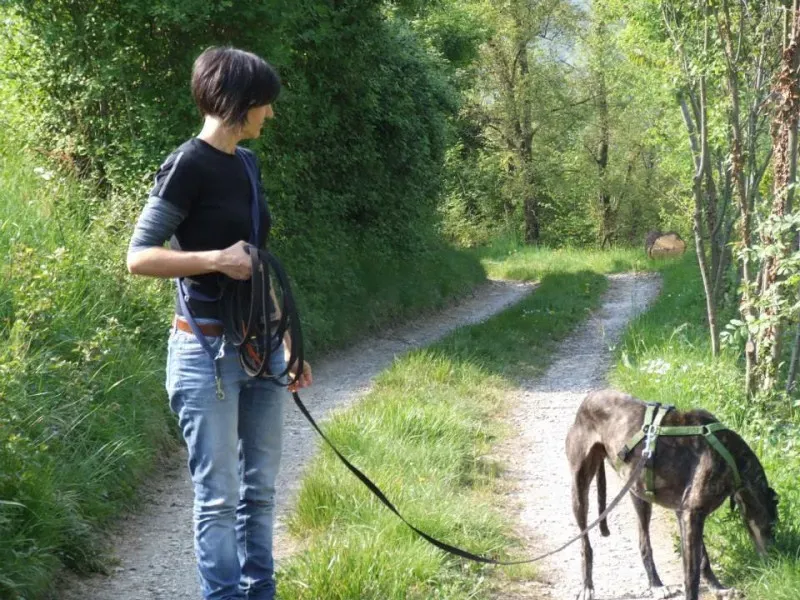 10259740 661394300588412 3735569416112450542 n